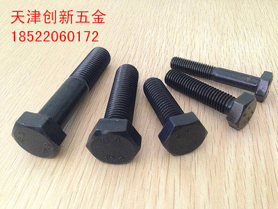 8 8 8 Class high strength Outer hexagonal bolt GB5783 High strength Outer hexagonal screw M10 * 25