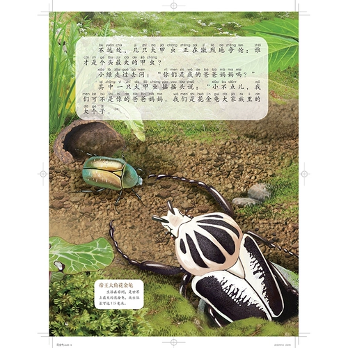 Научно-популярная энциклопедия для друга для раннего возраста для школьников, познавательная книга с картинками, материалы для чтения, полный комплект, подходит для подростков, наука, обучение