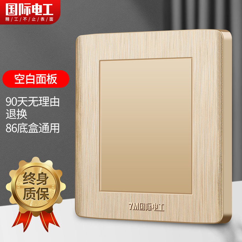 (Blank Panel) International Electrician 86 Type Wall Switch Socket panel Home One blank panel bezel