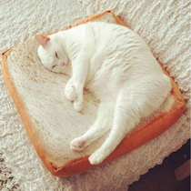 Creative Cute Emulation Toast With Sliced Bread Cushion Pet Kitty Mat Plush Hold Pillow Cushion Dining Chair Cushion