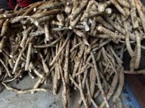 Guangxi ten-year-old tree selects sulfur-free natural sun-dried beef potatoes