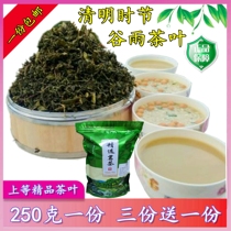 Gongcheng Camellia Tea Oil Tea Tea Authentic Camellia Special Tea Qingming Valley Yu Tea Three Saves Send One