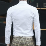 Рубашка, платье, трендовый классический костюм, в корейском стиле