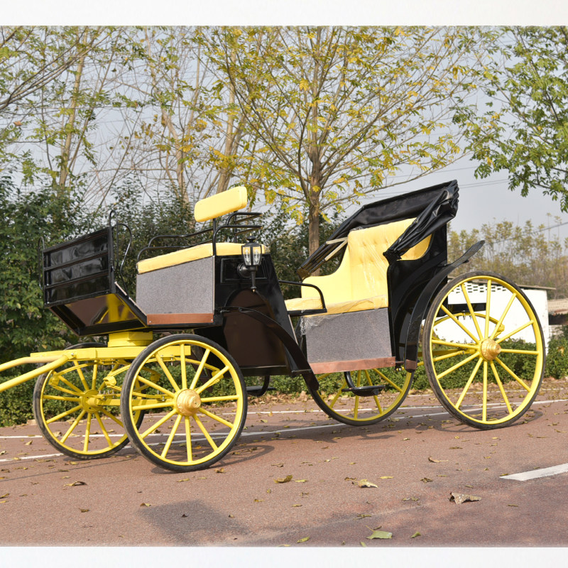 European-style double-row carriage Light luxury wedding Wedding photography Shop decoration Park scenic area scenic spot sightseeing car