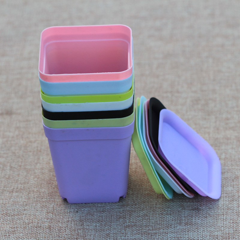 Multi Meat Plant Small Black Square Flower Pot Colored Square Plastic Small Flower Pot Finishing Basket Flower Green Planting Nursery Basin Insulation Stuffy