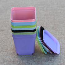 Succulent plant small black square flower pot color square plastic small flower pot finishing basket flower green plant seedling pot insulation stuffy