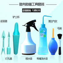 Fleshy horticultural plant planting tool combination set micro landscape tool shovel earer watering can air blowing shovel