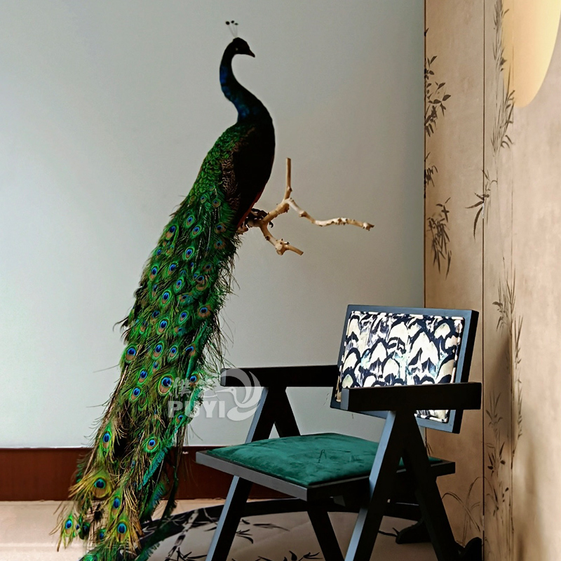 【Premium】Simulated Blue Peacock Animal Figurine Home Decoration Bird Specimen Model Real Feather Photography Prop