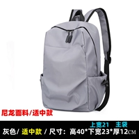 Серый (умеренная модель)