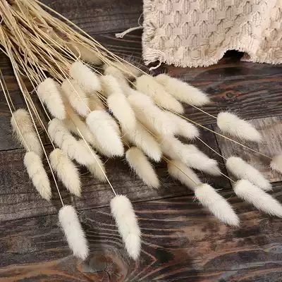 Fire-free aromatherapy accessories Fox tail grass rabbit tail grass volatile flower natural plant dried flower fiber rod eternal flower supplement