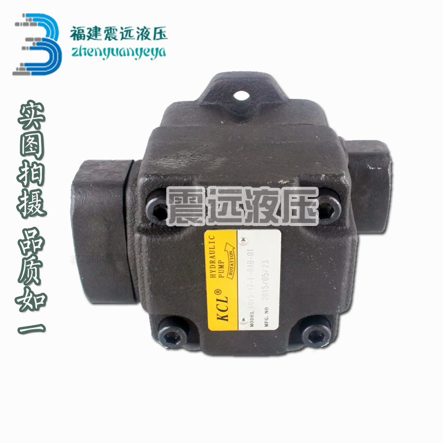 KCL Kejia VQ15 -31 26 23 23 19-F L-RAA RAB RAR RAL RRA RRL-01 vane pump