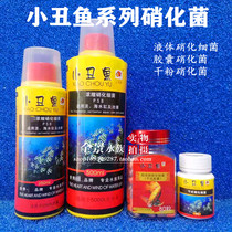  Clownfish aquarium ornamental fish medicine Active nitrifying bacteria Water quality stabilizer Clarifying agent bactericidal water Black water agent