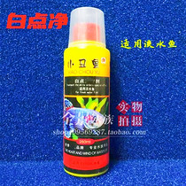 Clownfish white spots clean pieces small melon worms white feathers rotten fish Koi tropical fish marine fish General