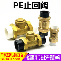 PE pipe brass check valve 4 minutes 6 minutes 1 inch horizontal check valve internal and external silk water pipe one-way valve 32 50 63