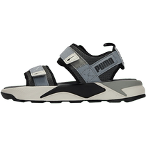 PUMA Puma Sandals Men Shoes and Shoes 2024 New Gray Couple Beach Shoes Leisure Dragon 374862