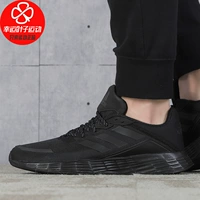 Основная модель изображения/