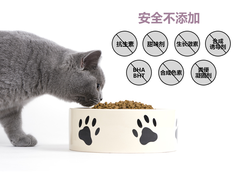 Thức ăn cho mèo hơn thức ăn cho mèo trong nhà St. Regis Thức ăn cho mèo 2kg cho mèo ăn thức ăn cho mèo hơn thức ăn tự nhiên của mèo St. Regis - Cat Staples Cách mix hạt cho mèo