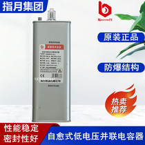Refers to the month group BSMJ0 48-15 20 25 30 40-3 1 Self-healing low-voltage parallel power capacitors