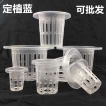 Fish tank hydroponic plant fixed basket holder round soilless cultivation root-fixing device aquatic grass plastic