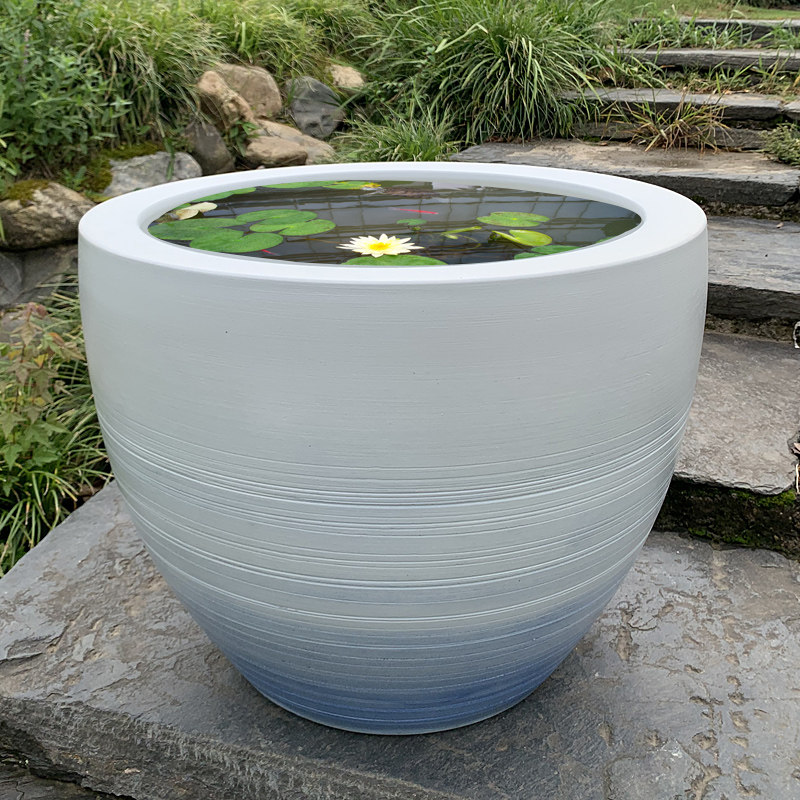 Jingdezhen Ceramic Fish Bowl King-size Lotus Lotus Bowl Tree Patient Living Room Balcony
