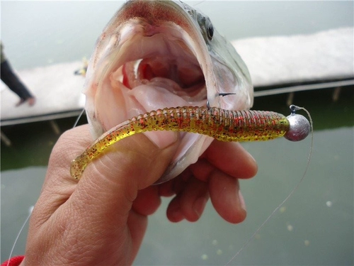 Ужасная высокочастотная качающаяся плавная приманка мягкая приманка 10 см 4,2 грамма 6 подходит для новичков приманка взрывной рыбалки