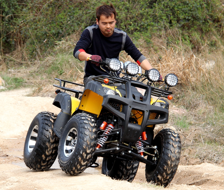 Big Bull 250CC ổ trục khác biệt tất cả các địa hình bốn bánh off-road ATV xe máy xe thể thao karting