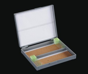 pathological specimen slide box slide storage box slide box plastic slide box plastic slide box