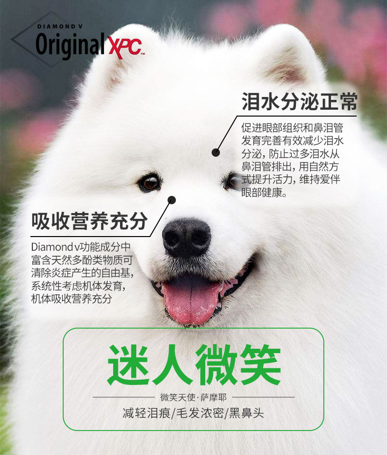 Thức ăn cho thú cưng 7 ngày nếm thử thức ăn cho chó Samoyed của chó trưởng thành chó con nói chung loại 10kg lông mịn đẹp để tăng cường cơ thể - Chó Staples thức ăn của chó