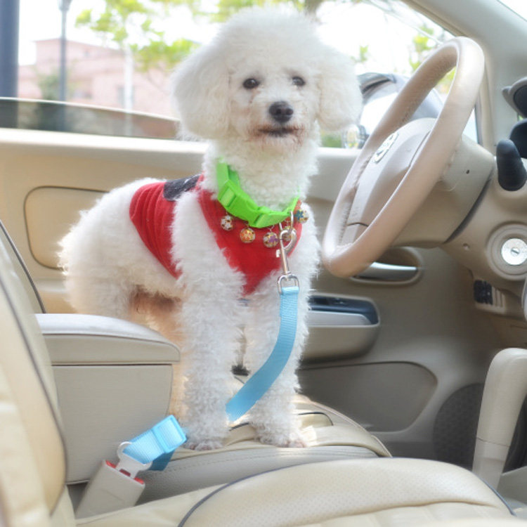 Pet car seat belt Car chest strap small dog Teddy than bear VIP dog chain traction rope