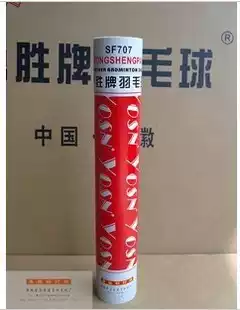 YOSN wins badminton SF707 competition level venues to play badminton