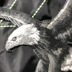 BIRD nam PEACE2019 mùa xuân mới thêu đại bàng bóng chày đồng phục áo khoác giản dị áo khoác thủy triều B2BC91159 - Mùa xuân các kiểu áo vest nữ hàn quốc Mùa xuân