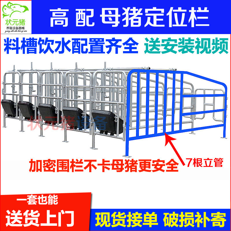 Sow positioning field limit field fence thickening hot galvanized pipe 5 bit arbitrary selection manufacturer direct selling pig equipment