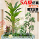 Simulated Green Plant Landscaping for Window Displays, Indoor and Outdoor Integrated Simulated Green Plant Landscaping