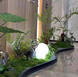 Specialized Landscaping Edging Stones and Small Green Plants