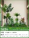 Simulated Green Plant Landscaping Combinations for Indoor and Outdoor Decoration