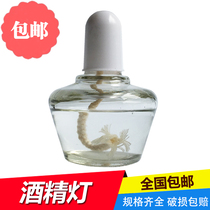 Alcohol lamp heating set hand blown laboratory glass thickened explosion-proof household corner frame cotton wick cotton thread