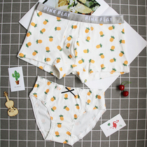 New couple underwear cotton cute large size underwear set sexy lace double mens flat corner Womens triangle