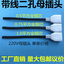 Monitoring 2-hole female plug with wire two-pin female waterproof box Power female socket integrated 220V power female plug