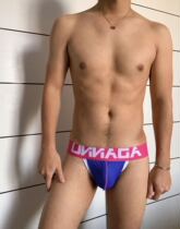 Mr. Afly-Mens mesh Delight Convex in Jeans Double Ding Briefs Breathable Comfort Low Waist Blue Pink