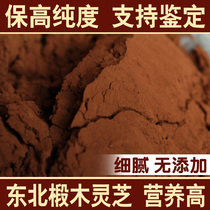 Changbai Mountain high-purity Ganoderma lucidum spore powder head Road self-produced 500g original forest ginseng antler Linzhi robe in Northeast China