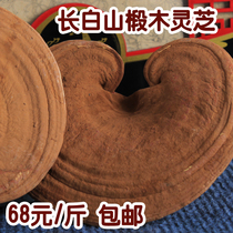 Northeast basswood red Ganoderma lucidum 1kg oversized Changbai Mountain specialty self-planted rootless spore powder