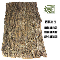 Champagne bark rainforest tank background landscaping Air Phoenix base Spider scorpion centipede tree climbing yellow edge turtle to avoid