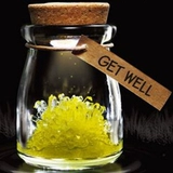 Желание стеклянная бутылка DIY Ручная рост роста детской кристаллы.