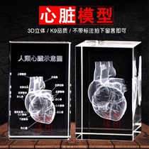 3D three-dimensional crystal carving Human heart anatomy model diagram processing crystal carving model custom crafts