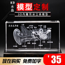  New crystal laser 3D three-dimensional engraving Human anatomy three-dimensional ear model Medical decoration customizable model