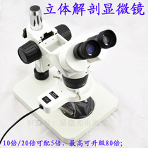 Binocular Dissection Microscope ST6012-B1 Professional Surgery Eye Surgery Microscope Anatomy