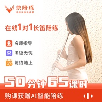  Quick Sparring Flute Sparring 50 minutes 65 lessons Online 1-on-1 course Professional online flute sparring