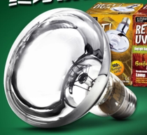 Reptile box turtle cylinder lamp heating lamp sun lamp land tortoise box water turtle heating lamp sun lamp