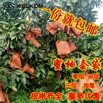 Grapefruit insect protection bag fruit tree bag bag bag Fruit Bag bag bag bag bag bag bag