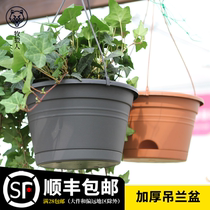 Holland orchid flower pot hanging hanging hanging creative green dill meaty lazy self-absorbent cultivation plastic hanging basket small flower pot
